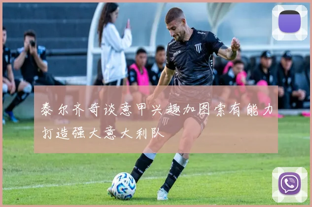 泰尔齐奇谈意甲兴趣加图索有能力打造强大意大利队