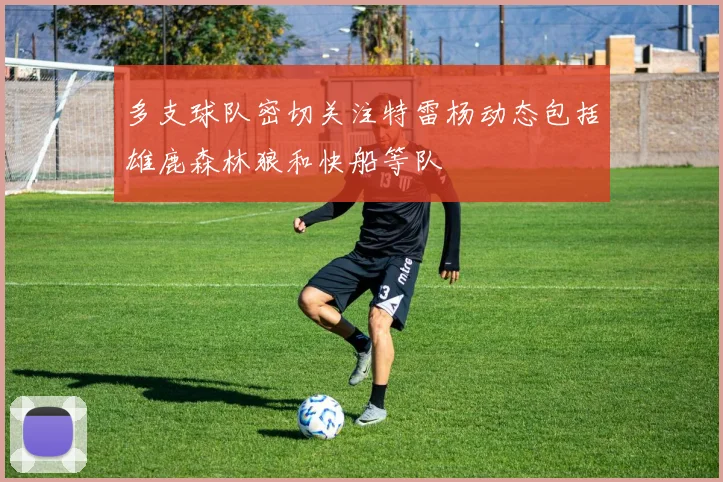 多支球队密切关注特雷杨动态包括雄鹿森林狼和快船等队