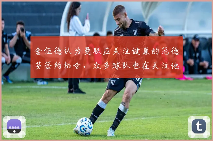 舍伍德认为曼联应关注健康的范德芬签约机会，众多球队也在关注他